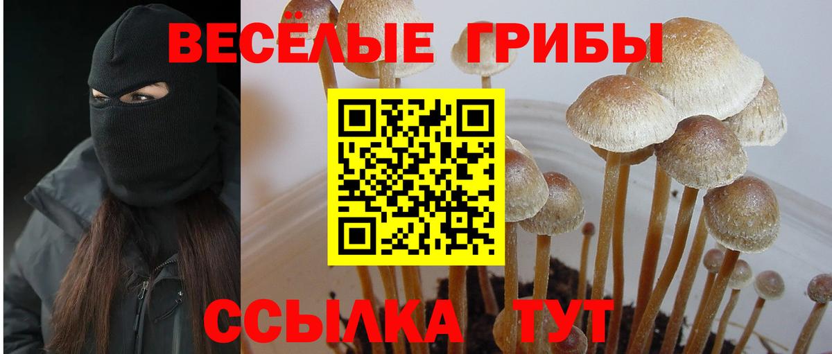 Псилоцибиновые грибы ЛСД Ртищево